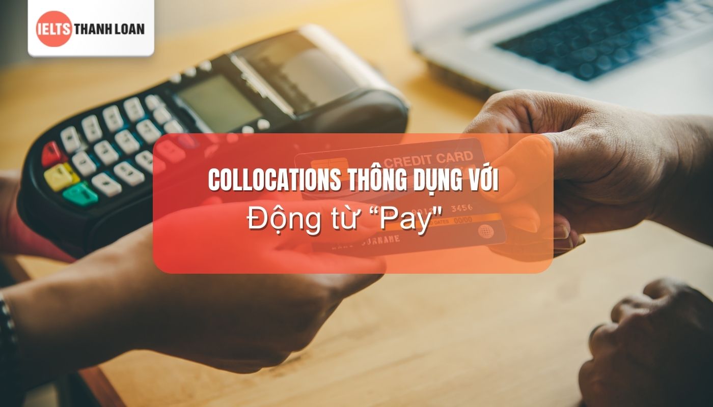 Collocation với “Pay”