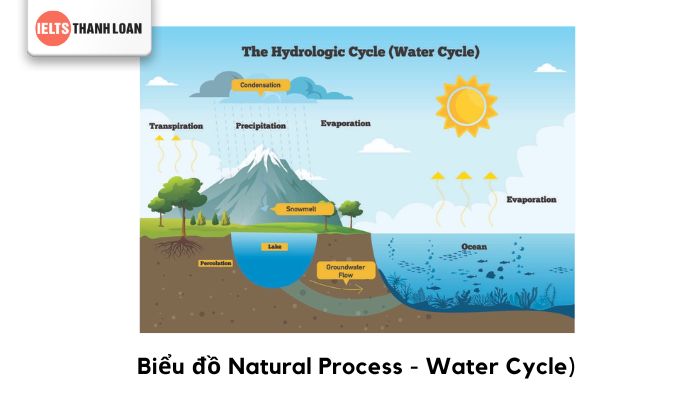 Natural Process - Water Cyber