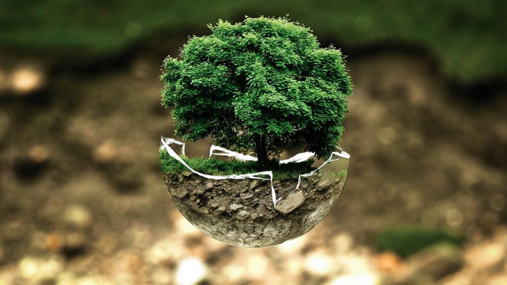 Từ vựng và ý tưởng IELTS Writing theo chủ đề – Environment & Energy