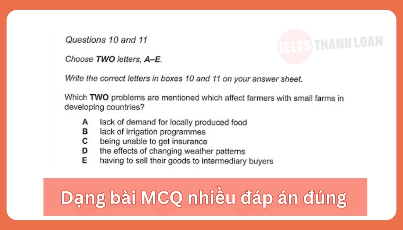 Multiple Choice chọn nhiều hơn 1 đáp án đúng