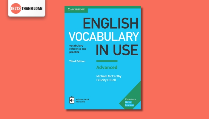 English Vocabulary in Use Advanced