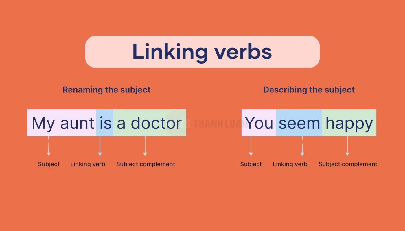 cách nhận biết Linking verb là gì