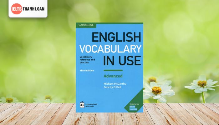 English Vocabulary in Use - Advanced 