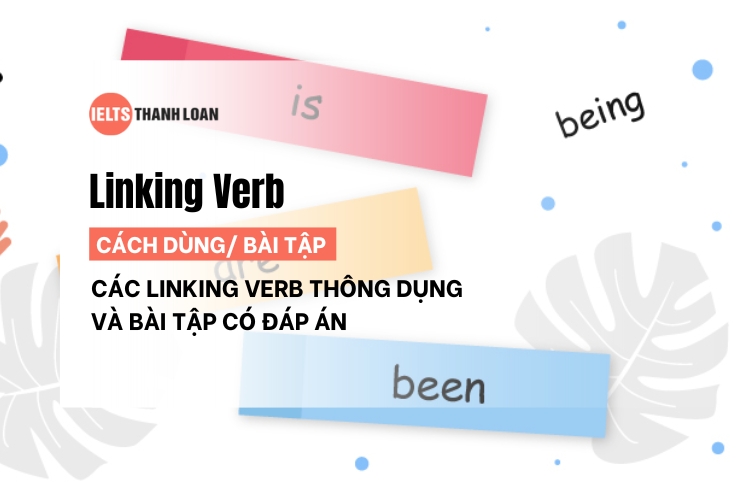 Cách dùng Linking Verb (động từ nối) và bài tập