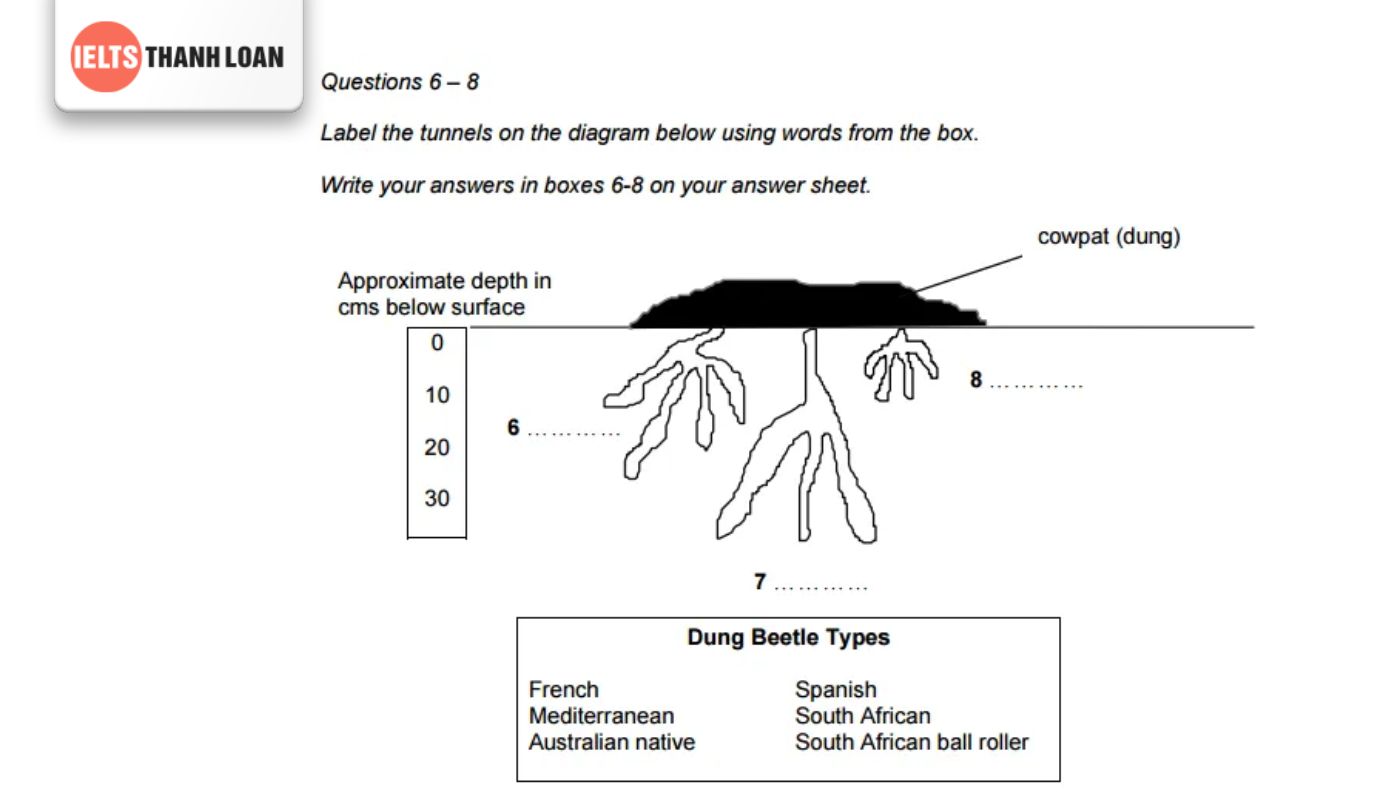 Dạng bài Diagram Label Completion