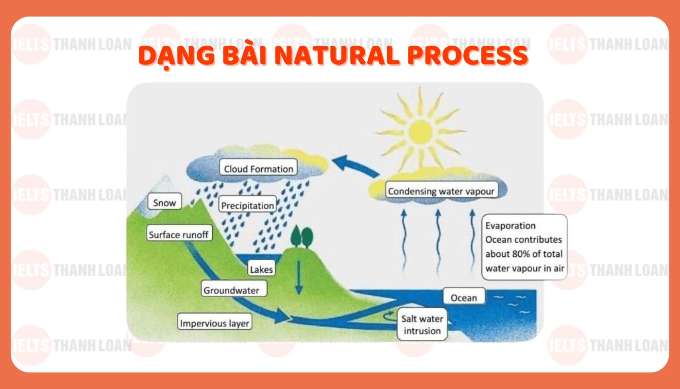 Biểu đồ Natural Process