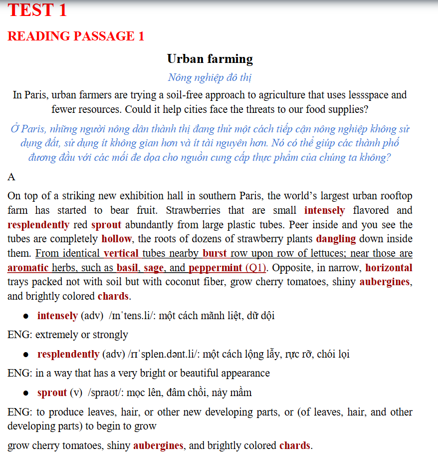 Image #2 from Nguyễn